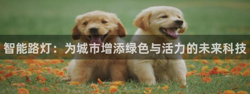 智能路灯:为城市增添绿色与活力的未来科技