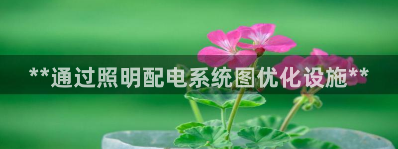 **通过照明配电系统图优化设施**