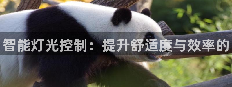 智能灯光控制:提升舒适度与效率的